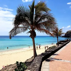 https://your-ocean-blue.hotelsfuerteventura.org